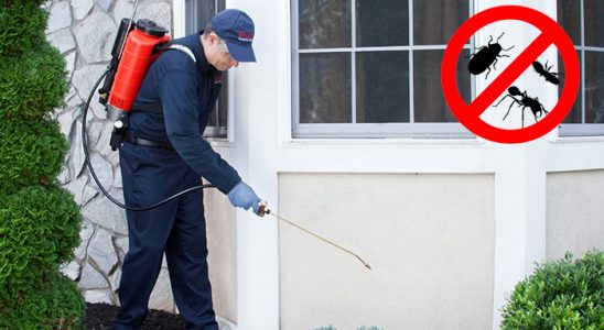Tekkeköy Böcek İlaçlama böcek ilaçlama ve haşere kontrolü — ilaclama-tr.com